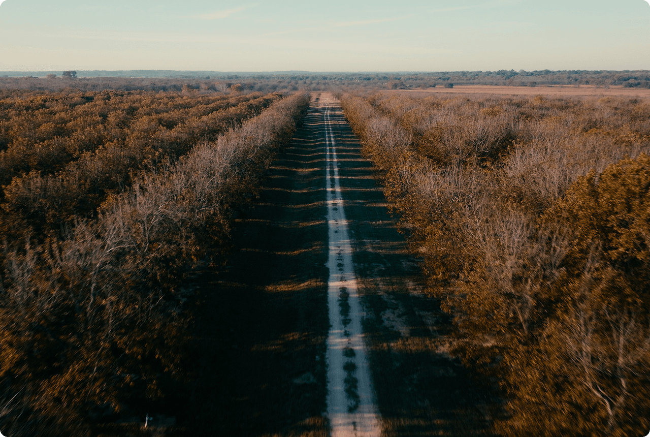 Texas Agricultural Heritage